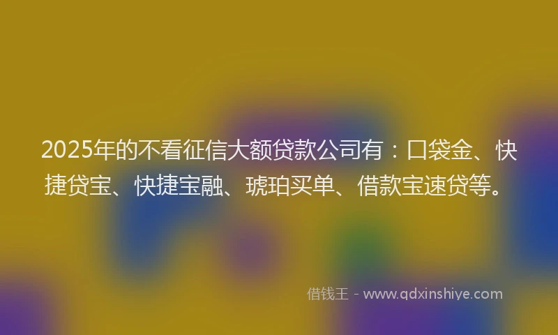 2025年的不看征信大额贷款公司有：口袋金、快捷贷宝、快捷宝融、琥珀买单、借款宝速贷等。