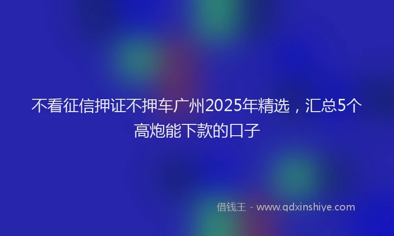 不看征信押证不押车广州2025年精选，汇总5个高炮能下款的口子