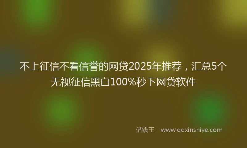 不上征信不看信誉的网贷2025年推荐,汇总5个无视征信黑白100%秒下网贷软件