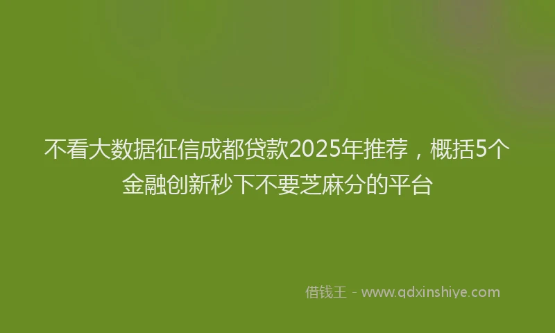 不看大数据征信成都贷款2025年推荐，概括5个金融创新秒下不要芝麻分的平台