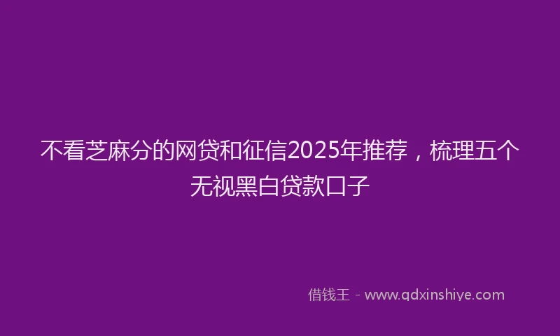 不看芝麻分的网贷和征信2025年推荐，梳理五个无视黑白贷款口子