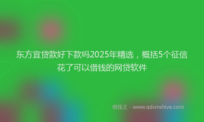 东方宜贷款好下款吗2025年精选，概括5个征信花了可以借钱的网贷软件
