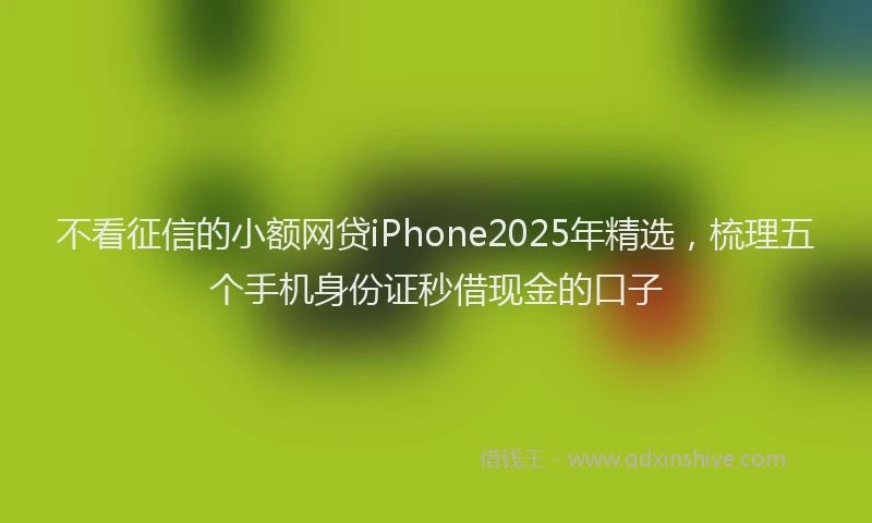 不看征信的小额网贷iPhone2025年精选，梳理五个手机身份证秒借现金的口子
