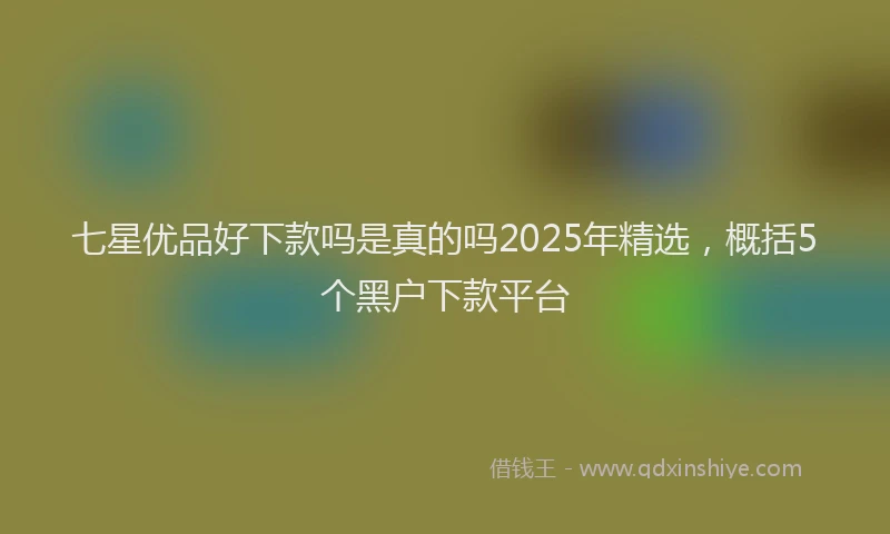 七星优品好下款吗是真的吗2025年精选，概括5个黑户下款平台