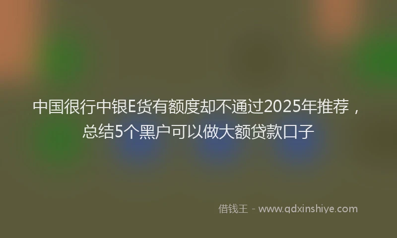 中国很行中银E货有额度却不通过2025年推荐，总结5个黑户可以做大额贷款口子