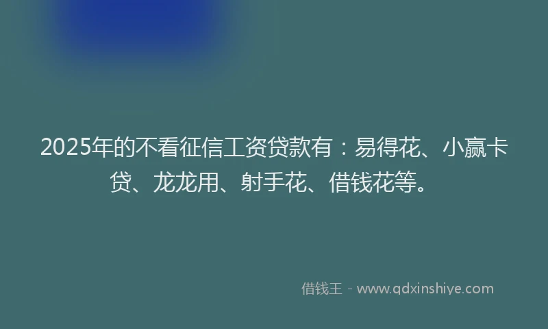 2025年的不看征信工资贷款有：易得花、小赢卡贷、龙龙用、射手花、借钱花等。
