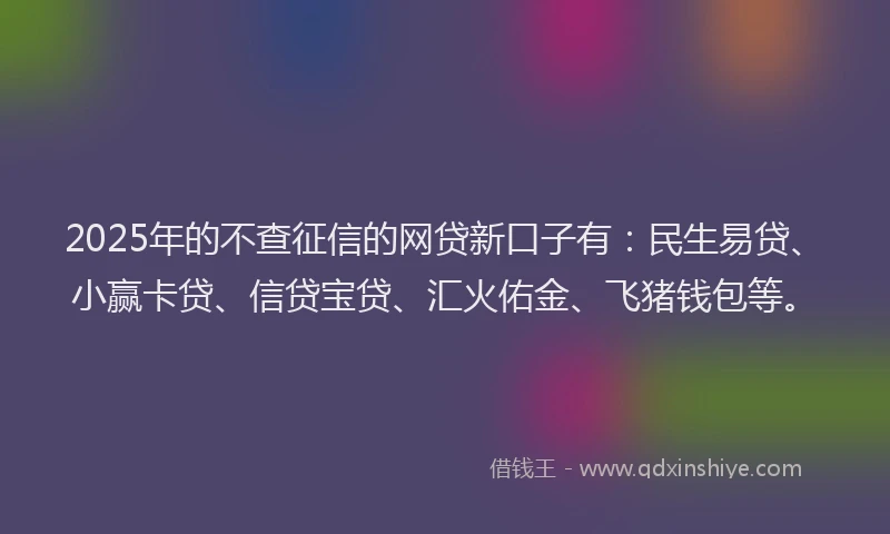 2025年的不查征信的网贷新口子有：民生易贷、小赢卡贷、信贷宝贷、汇火佑金、飞猪钱包等。