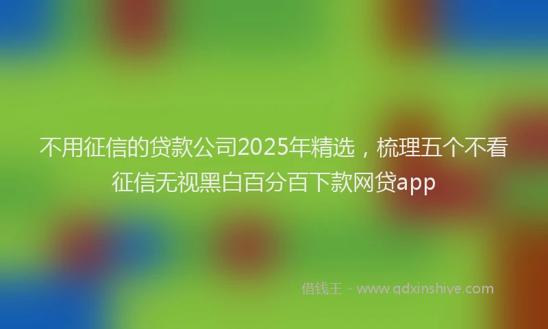 不用征信的贷款公司2025年精选，梳理五个不看征信无视黑白百分百下款网贷app