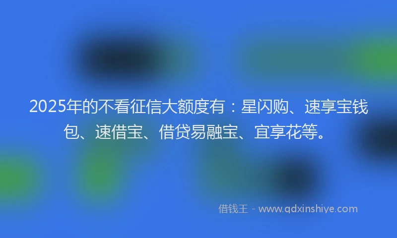 2025年的不看征信大额度有：星闪购、速享宝钱包、速借宝、借贷易融宝、宜享花等。