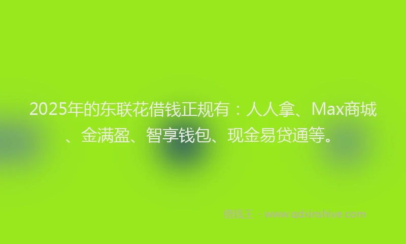 2025年的东联花借钱正规有：人人拿、Max商城、金满盈、智享钱包、现金易贷通等。