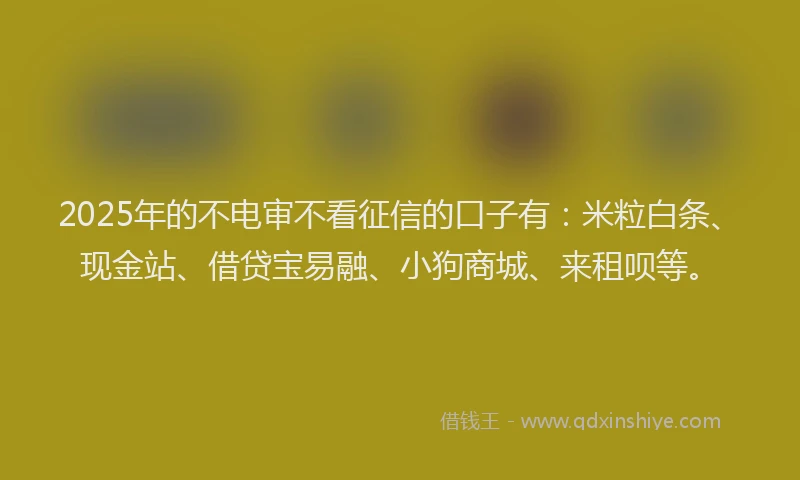 2025年的不电审不看征信的口子有：米粒白条、现金站、借贷宝易融、小狗商城、来租呗等。