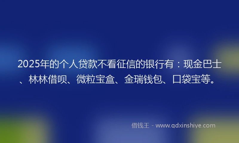 2025年的个人贷款不看征信的银行有：现金巴士、林林借呗、微粒宝盒、金瑞钱包、口袋宝等。