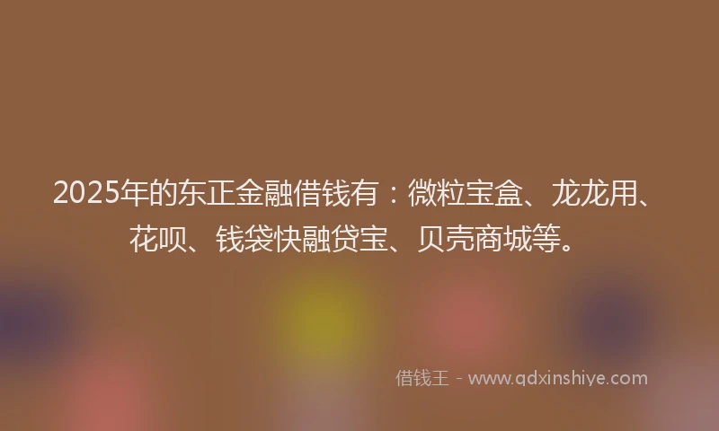 2025年的东正金融借钱有：微粒宝盒、龙龙用、花呗、钱袋快融贷宝、贝壳商城等。