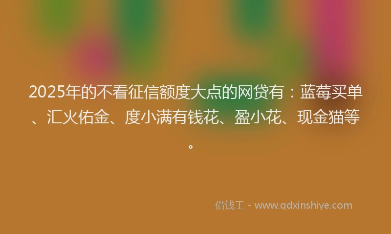 2025年的不看征信额度大点的网贷有：蓝莓买单、汇火佑金、度小满有钱花、盈小花、现金猫等。