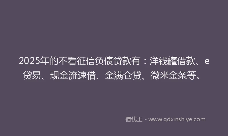 2025年的不看征信负债贷款有：洋钱罐借款、e贷易、现金流速借、金满仓贷、微米金条等。