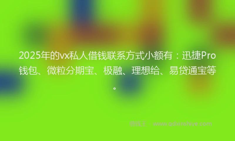 2025年的vx私人借钱联系方式小额有：迅捷Pro钱包、微粒分期宝、极融、理想给、易贷通宝等。