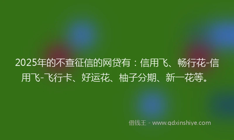 2025年的不查征信的网贷有：信用飞、畅行花-信用飞-飞行卡、好运花、柚子分期、新一花等。