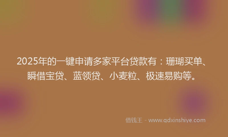 2025年的一键申请多家平台贷款有：珊瑚买单、瞬借宝贷、蓝领贷、小麦粒、极速易购等。