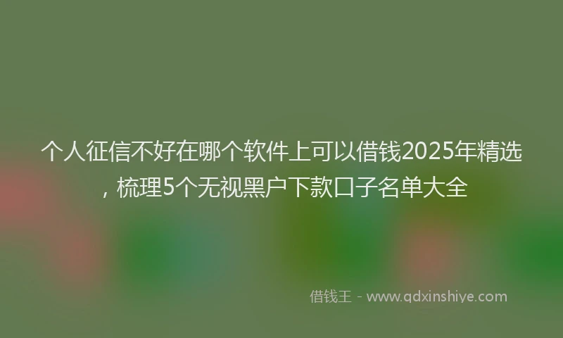 个人征信不好在哪个软件上可以借钱2025年精选，梳理5个无视黑户下款口子名单大全