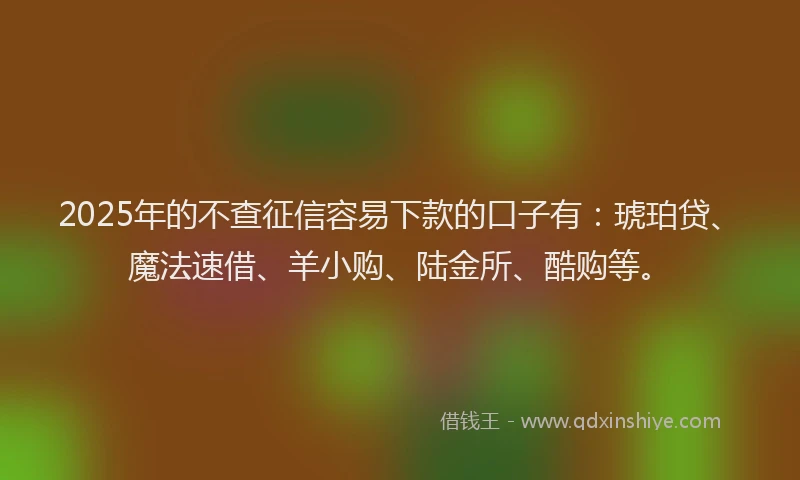2025年的不查征信容易下款的口子有：琥珀贷、魔法速借、羊小购、陆金所、酷购等。