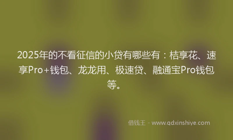 2025年的不看征信的小贷有哪些有：桔享花、速享Pro+钱包、龙龙用、极速贷、融通宝Pro钱包等。