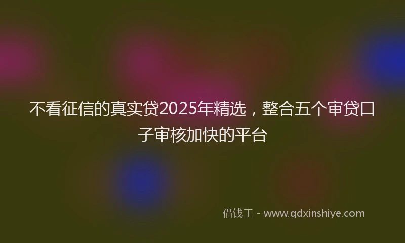 不看征信的真实贷2025年精选，整合五个审贷口子审核加快的平台