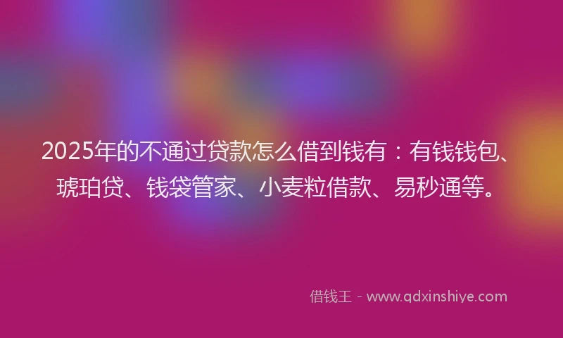 2025年的不通过贷款怎么借到钱有：有钱钱包、琥珀贷、钱袋管家、小麦粒借款、易秒通等。