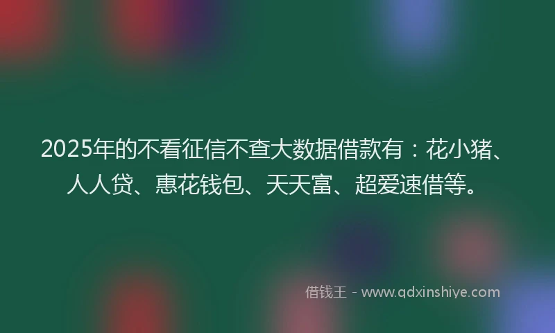 2025年的不看征信不查大数据借款有：花小猪、人人贷、惠花钱包、天天富、超爱速借等。