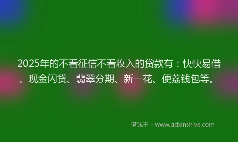 2025年的不看征信不看收入的贷款有：快快易借、现金闪贷、翡翠分期、新一花、便荔钱包等。