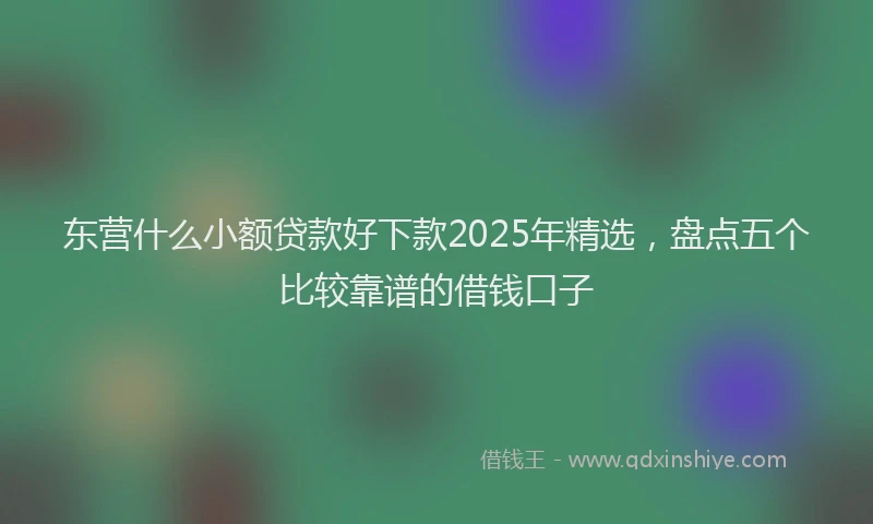 东营什么小额贷款好下款2025年精选，盘点五个比较靠谱的借钱口子