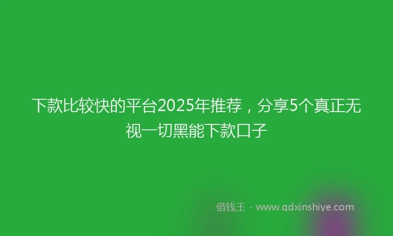 下款比较快的平台2025年推荐，分享5个真正无视一切黑能下款口子