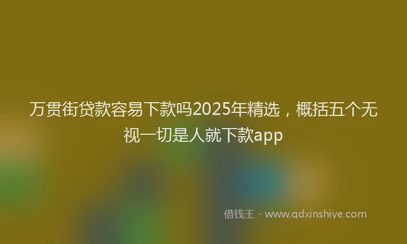 万贯街贷款容易下款吗2025年精选，概括五个无视一切是人就下款app