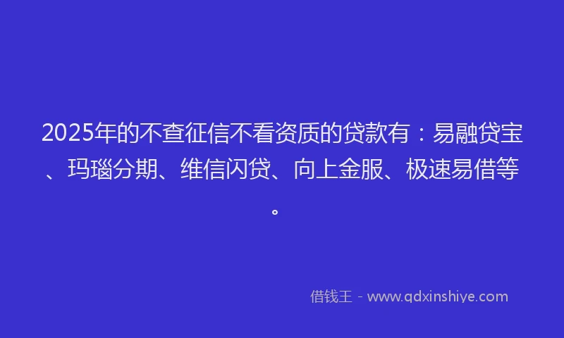 2025年的不查征信不看资质的贷款有：易融贷宝、玛瑙分期、维信闪贷、向上金服、极速易借等。