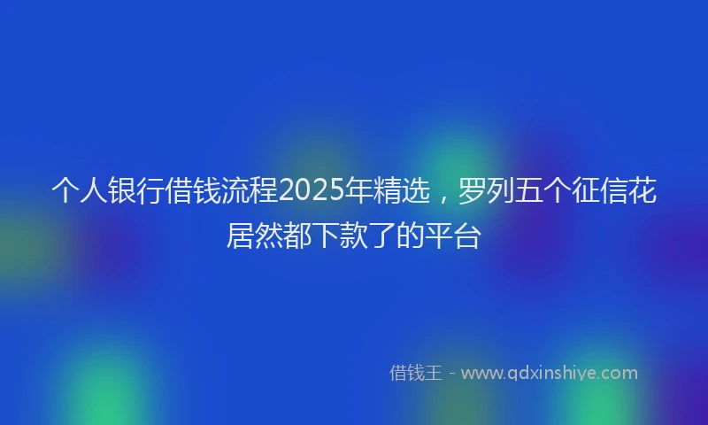 个人银行借钱流程2025年精选，罗列五个征信花居然都下款了的平台