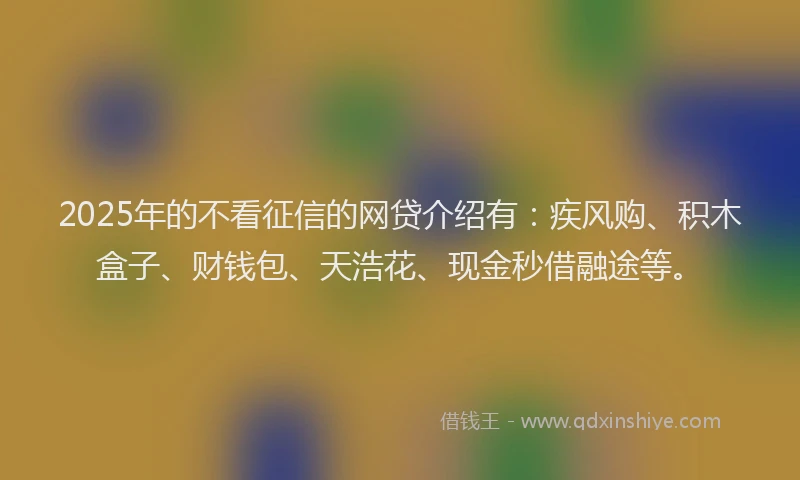 2025年的不看征信的网贷介绍有：疾风购、积木盒子、财钱包、天浩花、现金秒借融途等。