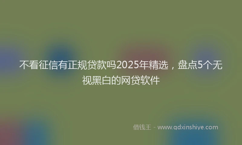不看征信有正规贷款吗2025年精选，盘点5个无视黑白的网贷软件