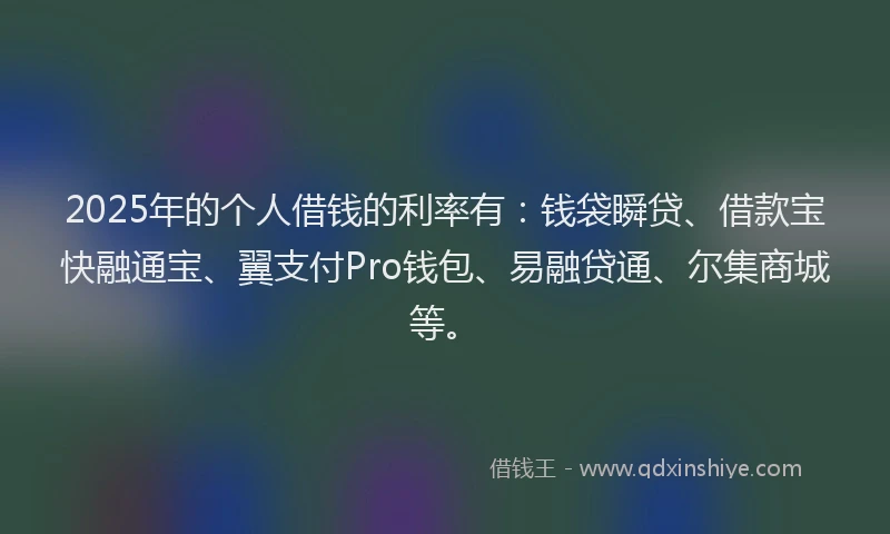 2025年的个人借钱的利率有：钱袋瞬贷、借款宝快融通宝、翼支付Pro钱包、易融贷通、尔集商城等。