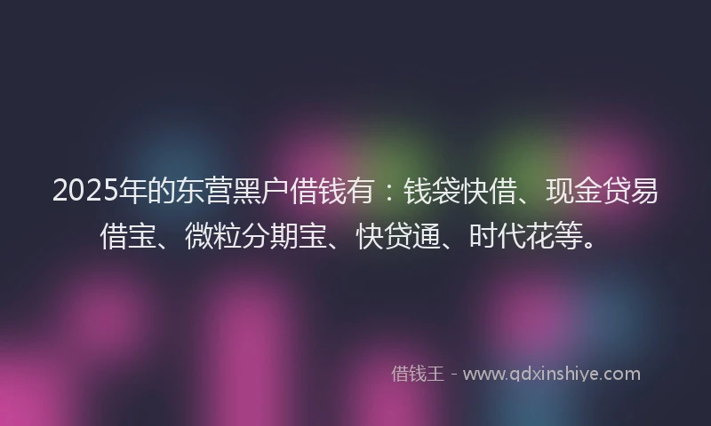 2025年的东营黑户借钱有：钱袋快借、现金贷易借宝、微粒分期宝、快贷通、时代花等。