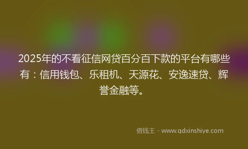 2025年的不看征信网贷百分百下款的平台有哪些有：信用钱包、乐租机、天源花、安逸速贷、辉誉金融等。