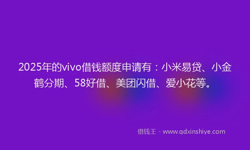 2025年的vivo借钱额度申请有:小米易贷、小金鹤分期、58好借、美团闪借、爱小花等。