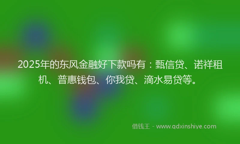 2025年的东风金融好下款吗有：甄信贷、诺祥租机、普惠钱包、你我贷、滴水易贷等。