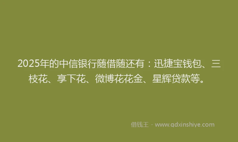 2025年的中信银行随借随还有：迅捷宝钱包、三枝花、享下花、微博花花金、星辉贷款等。