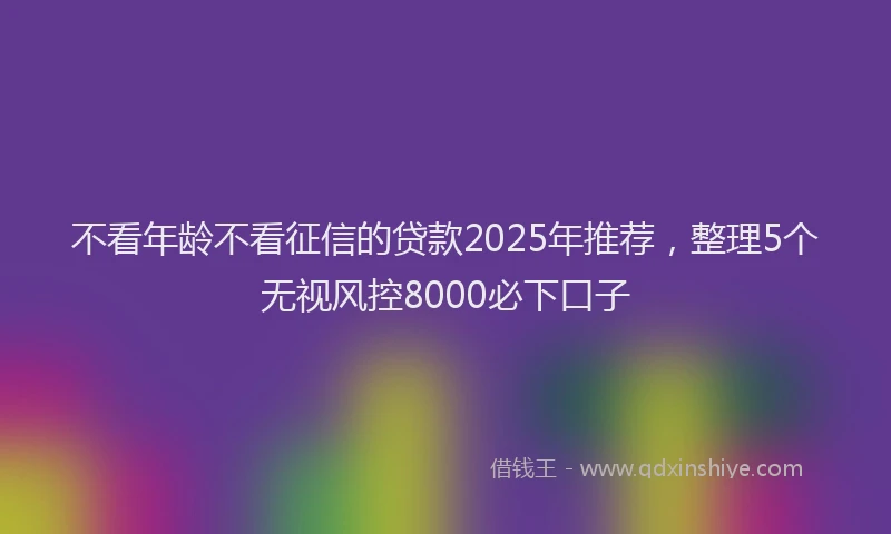 不看年龄不看征信的贷款2025年推荐,整理5个无视风控8000必下口子