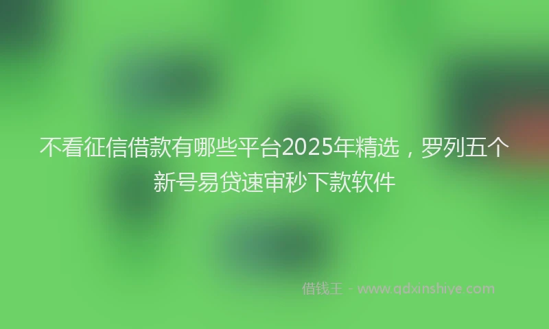 不看征信借款有哪些平台2025年精选，罗列五个新号易贷速审秒下款软件
