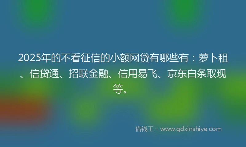 2025年的不看征信的小额网贷有哪些有：萝卜租、信贷通、招联金融、信用易飞、京东白条取现等。