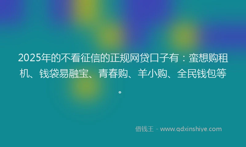 2025年的不看征信的正规网贷口子有：蛮想购租机、钱袋易融宝、青春购、羊小购、全民钱包等。