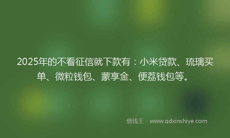 2025年的不看征信就下款有：小米贷款、琉璃买单、微粒钱包、蒙享金、便荔钱包等。