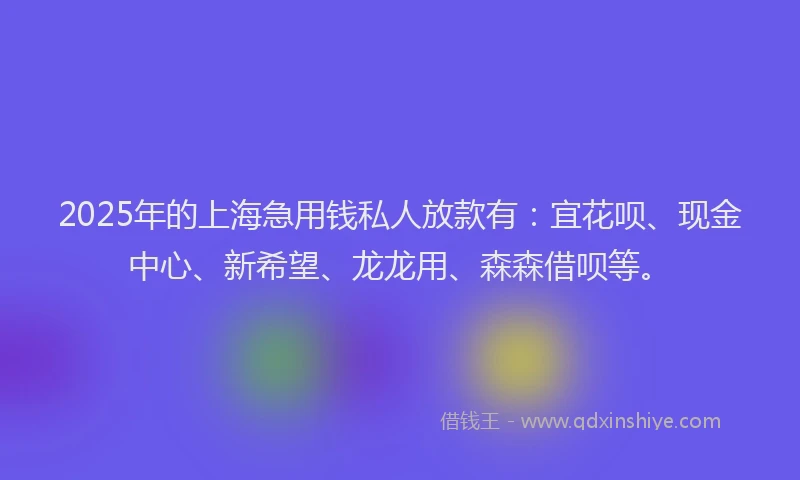 2025年的上海急用钱私人放款有：宜花呗、现金中心、新希望、龙龙用、森森借呗等。
