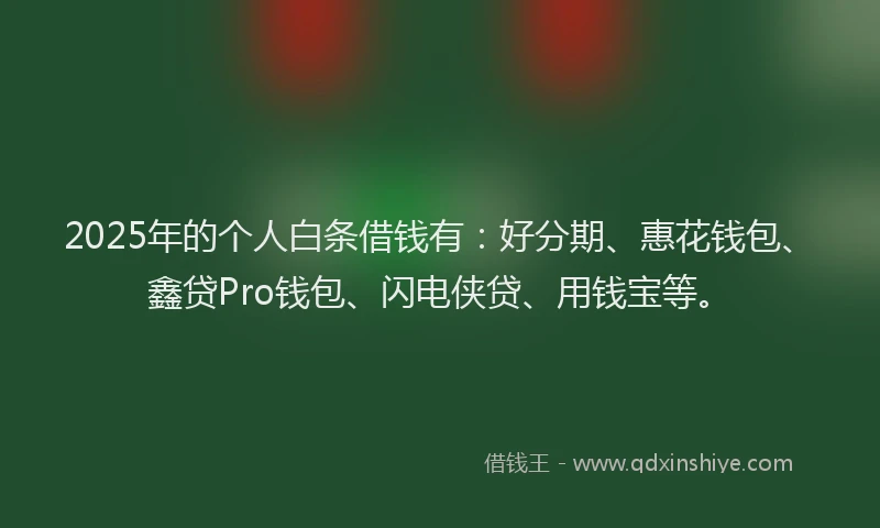 2025年的个人白条借钱有：好分期、惠花钱包、鑫贷Pro钱包、闪电侠贷、用钱宝等。