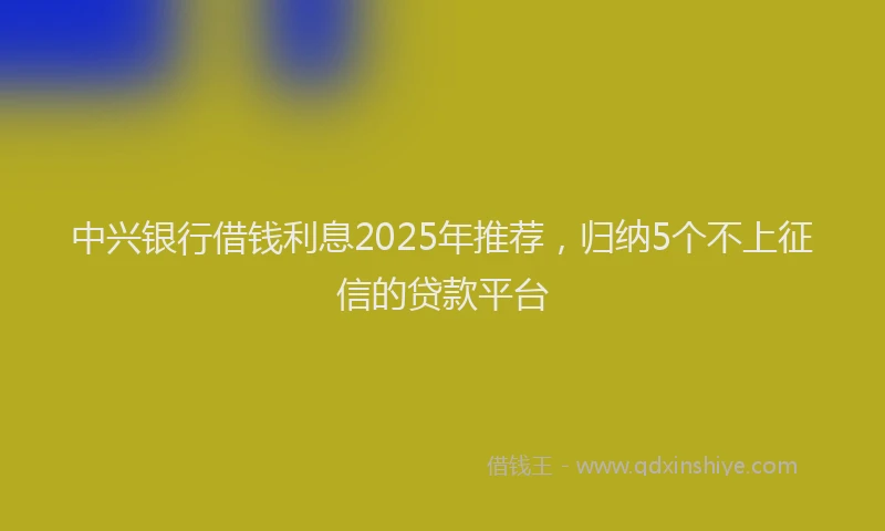 中兴银行借钱利息2025年推荐，归纳5个不上征信的贷款平台